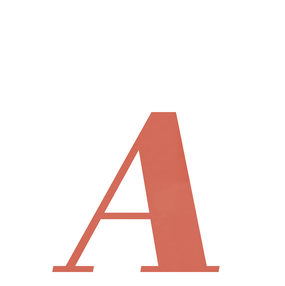 The Agncy Media